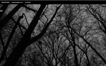 site thumbnail